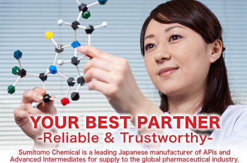 YOUR BEST PARTNER -Reliable & Trustworthy-
