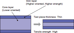 Figure 3-2-5 Skin/Core Diagram
