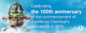 the 100th anniversary