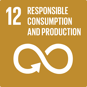 12 responsible consumption and production