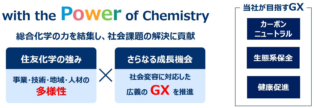 財務環境の変化と経営財務(経営財務研究双書16) 本