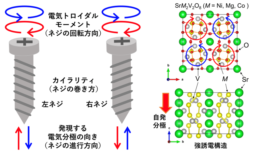 カイラリティと電気トロイダルモーメントの結合に基づく 新しい強誘電