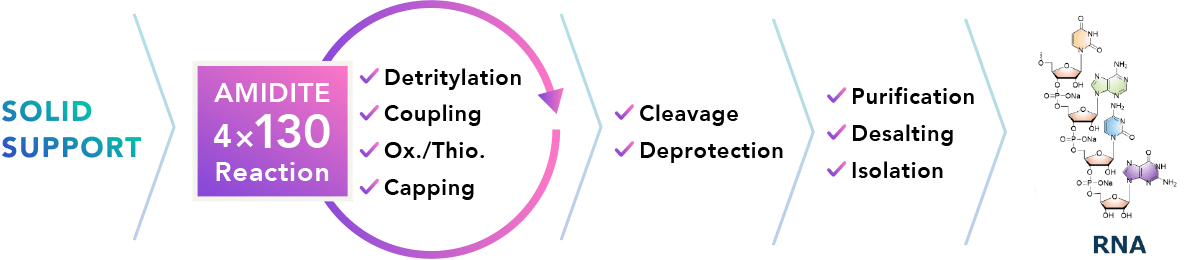 gRNA manufacturing process