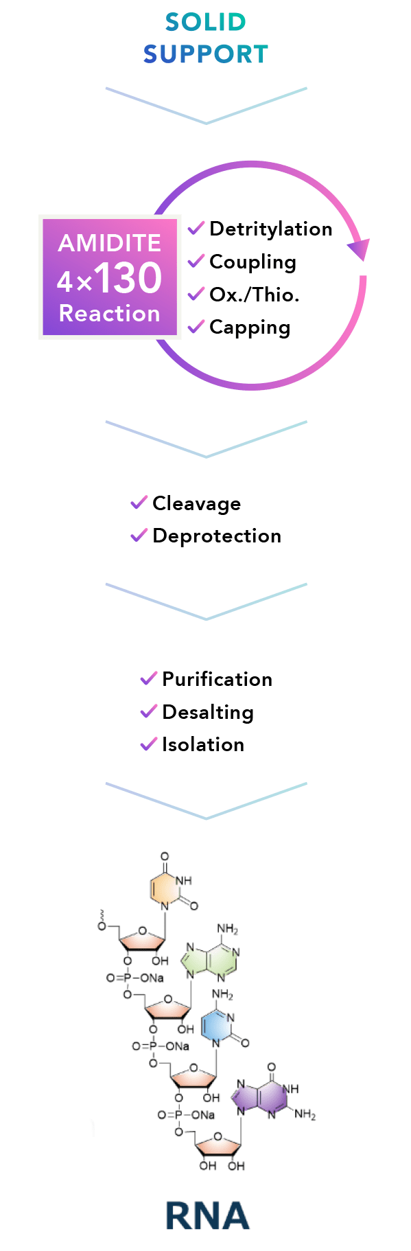 gRNA manufacturing process