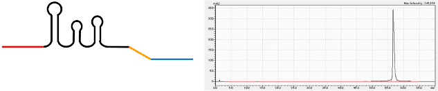 pegRNA(Nature,2019,576,149) images