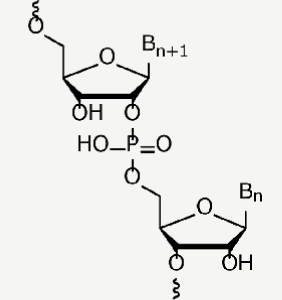 2’, 3’-switched isomers image