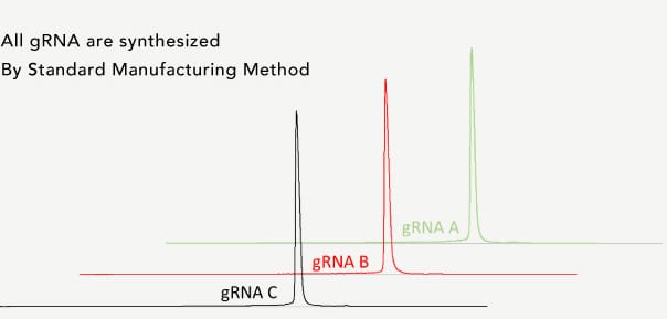 All gRNA are synthesized By Standard Manufacturing Method