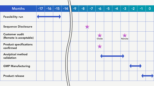 開発スケジュール