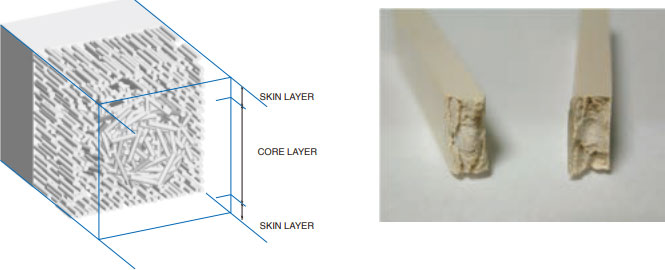 Figure 1-1-1 Skin Core Structure and Photograph of SUMIKASUPER LCP