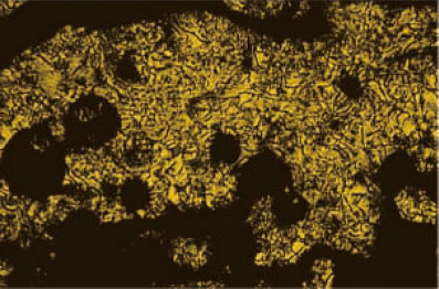 Figure 1-1-5 Polarization Microscopic Photograph of SUMIKASUPER LCP