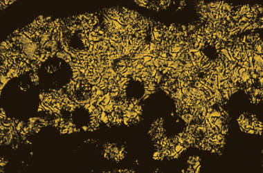 図1-1-5 スミカスーパーLCPの偏光顕微鏡写真 